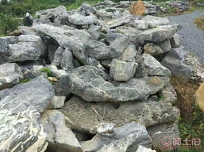 英德市望埠鎮(zhèn)宏業(yè)奇石場 熱賣促銷 阿土伯網(wǎng)